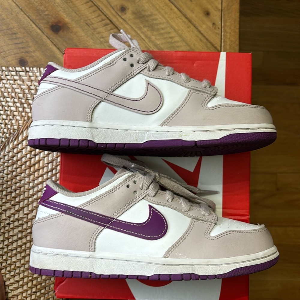 Kids Nike Dunks Low